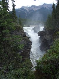 014 Athabasca Falls