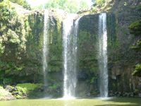 06 Whangarei Falls
