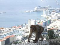 Gibraltar07