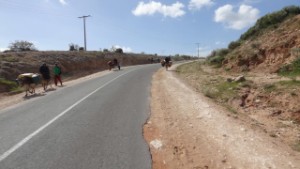 vervoer per Ezel vervoer per Ezel