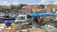 Bastia