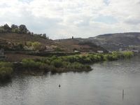 de druiven vallei Douro
